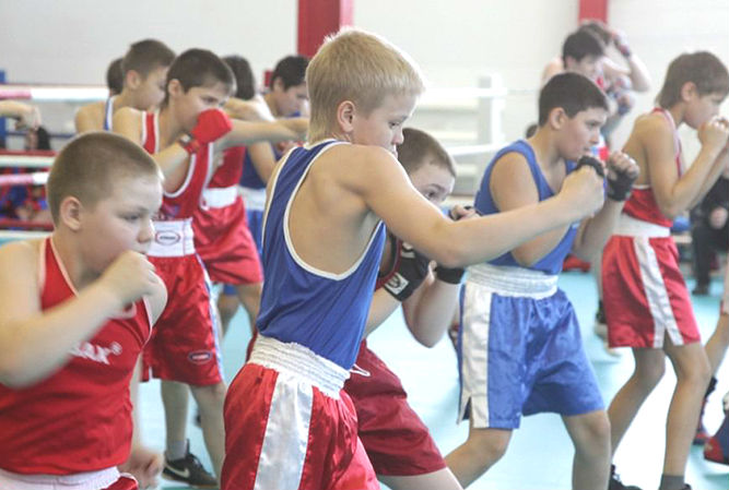 Выбор школы бокса для ребенка: на что обратить внимание?